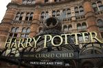 Forlaget Bloomsbury kan takke troldmanden Harry Potter for sin succes.  Joel Ryan/AP