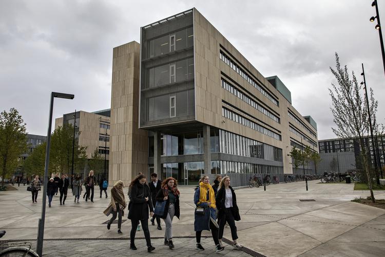 Københavns Universitet på Islands Brygge. Arkivfoto Jacob Ehrbahn