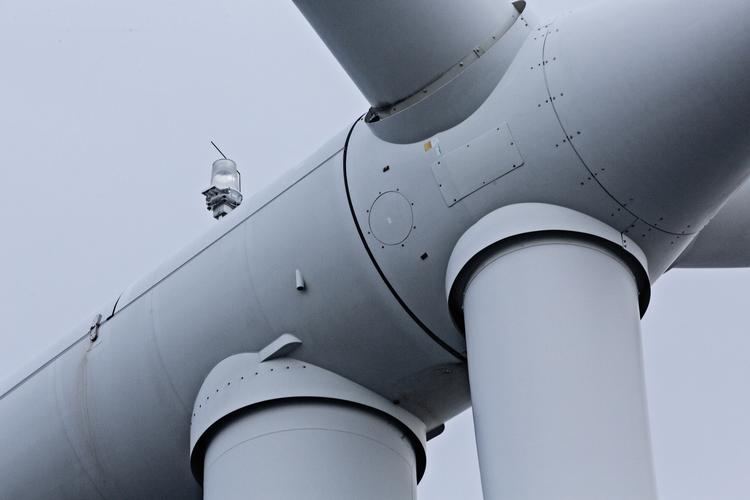 Trods præsident Trumps svaghed for kulkraft og fornægtelse af klimaforandringer har flere amerikanske stater taget den vedvarende energi til sig.  Melissa Kühn Hjerrild/POLFOTO