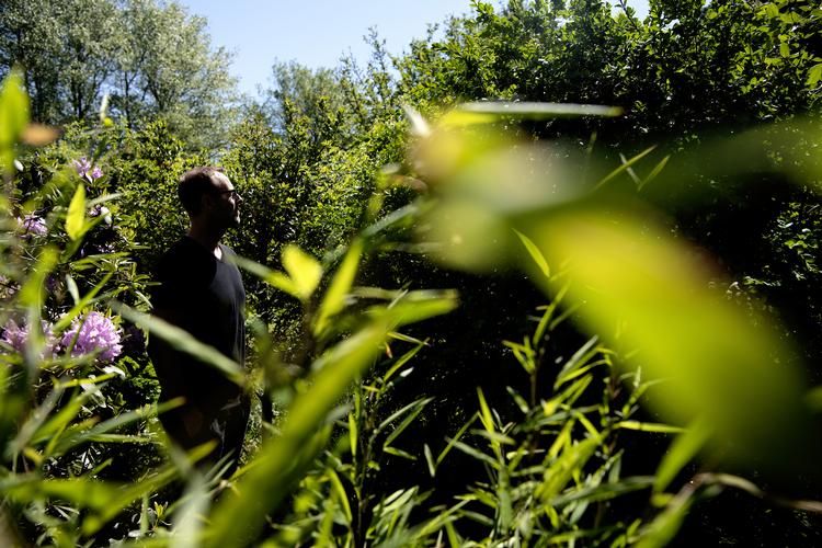 
Jesper Molin og hans hustru Charlotte nægter at lade et dyrt sommerhusbureau overtage udlejningen af deres sommerhus på Falster. Så hellere stoppe udlejningen.  Peter Hove Olesen/POLFOTO