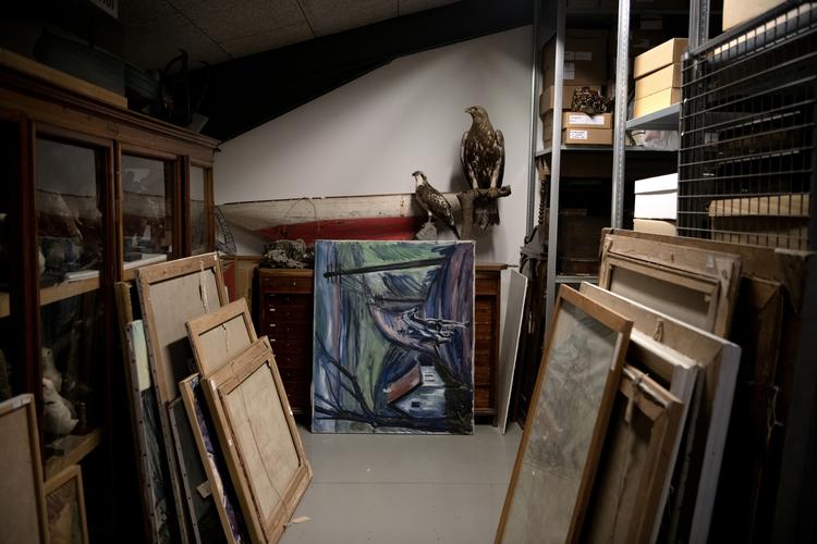 I magasinet på Gilleleje Museum finder man bl.a. den sidste havørn skudt på Sjælland.   Peter Hove Olesen/POLFOTO