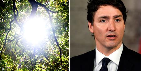 Foto Mathias Christensen/Justin Tang