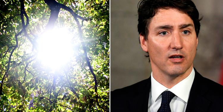 Foto Mathias Christensen/Justin Tang