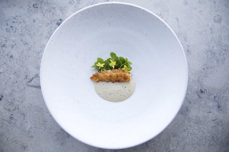 Finn Frandsen/POLFOTO