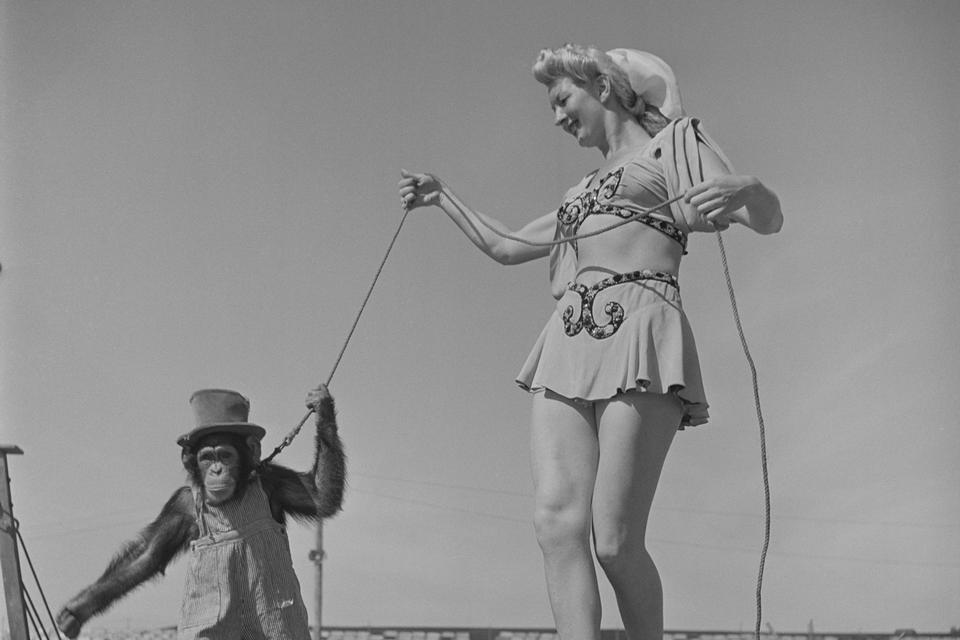 Stanley Kubrick / Courtesy of the Museum of the City of New York / SK Film Archive, LLC