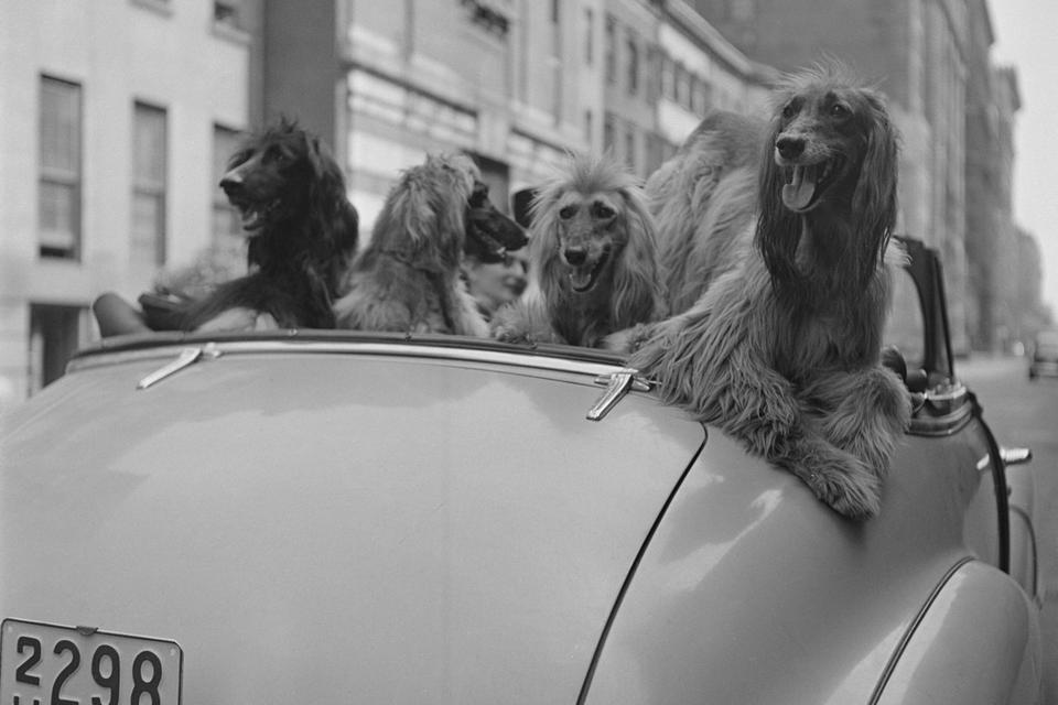 Stanley Kubrick / Courtesy of the Museum of the City of New York / SK Film Archive, LLC