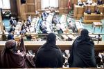 Hvis du bærer burka i en demonstration, hvor du vil give din mening om tildækningsforbuddet til kende, må du sandsynligvis godt bære den - billedet er fra i sidste uge, hvor forbuddet blev vedtaget i Folketinget.  Mads Claus Rasmussen/Ritzau Scanpix