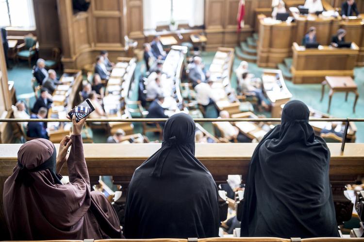 Hvis du bærer burka i en demonstration, hvor du vil give din mening om tildækningsforbuddet til kende, må du sandsynligvis godt bære den - billedet er fra i sidste uge, hvor forbuddet blev vedtaget i Folketinget.  Mads Claus Rasmussen/Ritzau Scanpix
