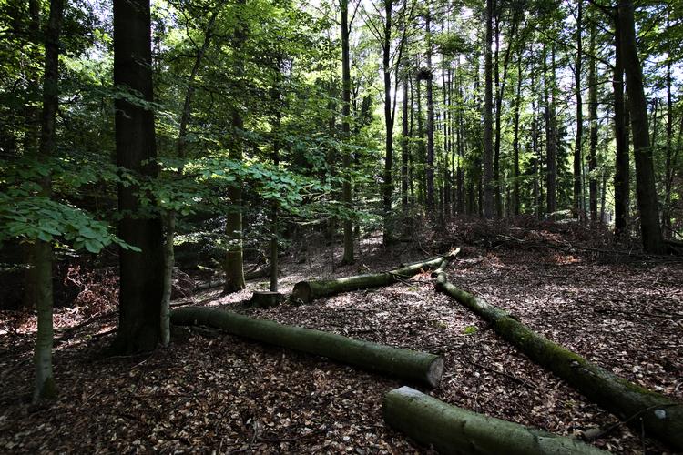 Miriam Dalsgaard/POLFOTO