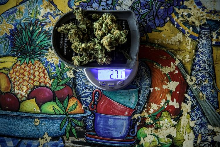 En konference på Christiansborg har debatteret en mulig model for at legalisere cannabis i Danmark. Forslagene var dog for mange i forhold til tiden, så der er endnu ikke fundet en model.   Mads Nissen/POLFOTO