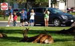 Matthew Brown/AP