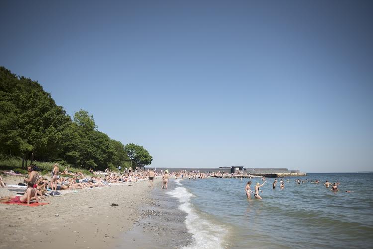 Laura Bisgaard Krogh