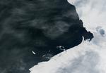 Pine Island gletsjeren er en gigantisk gletsjer i den vestlige del af Antarktis, som har bidraget til de accelererende istab, som det iskolde kontinent har oplevet de seneste ti år. Billedet er taget i slutningen af 2017, hvor et stykke is på 1-2 kilometer i længde brækkede af. Foto: Nasa Nasa