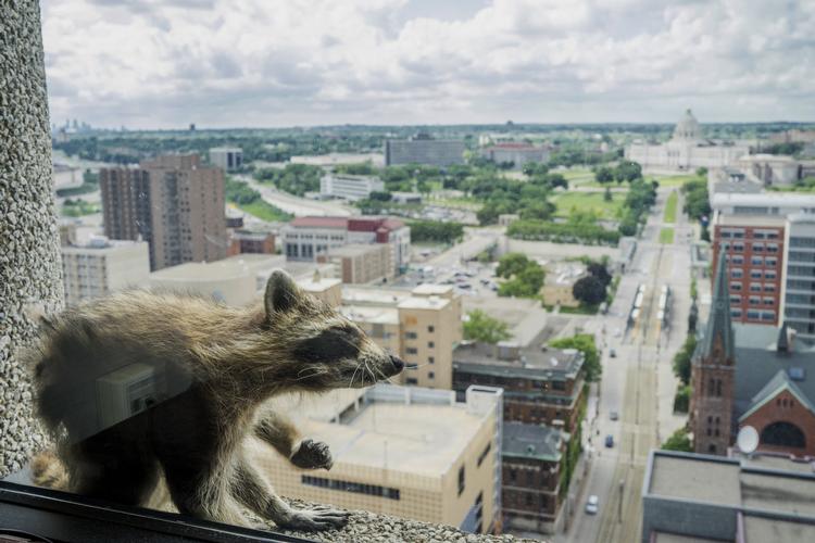 Evan Frost/AP