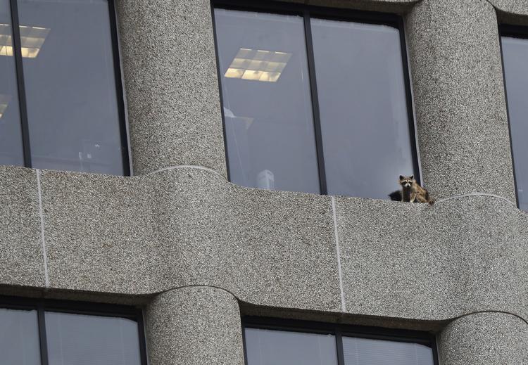 Richard Tsong-taatarii/AP