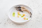 På den restaurantscenen i Moskva er der i dag nye kokke med ideer og ambitioner bag blusset, og det giver genlyd uden for landets grænser. Restaurant Twins Garden