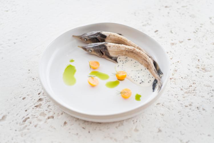 På den restaurantscenen i Moskva er der i dag nye kokke med ideer og ambitioner bag blusset, og det giver genlyd uden for landets grænser. Restaurant Twins Garden
