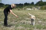 Forureningsbekæmpelse på fire ben: Louie kan snuse sig frem til opløsningsmidler i jorden. Her træner den med civilingeniør Mette Algren Nielsen fra rådgivningsfirmaet Orbicon i Taastrup.   Jens Dresling/POLFOTO
