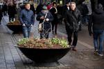 På Strøget i København skal tunge blomsterkummer hindre, at lastbiler kan komme drønende ind på den menneskefyldte gågade. Jens Dresling/POLFOTO