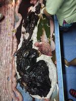 Social Media/Ritzau Scanpix