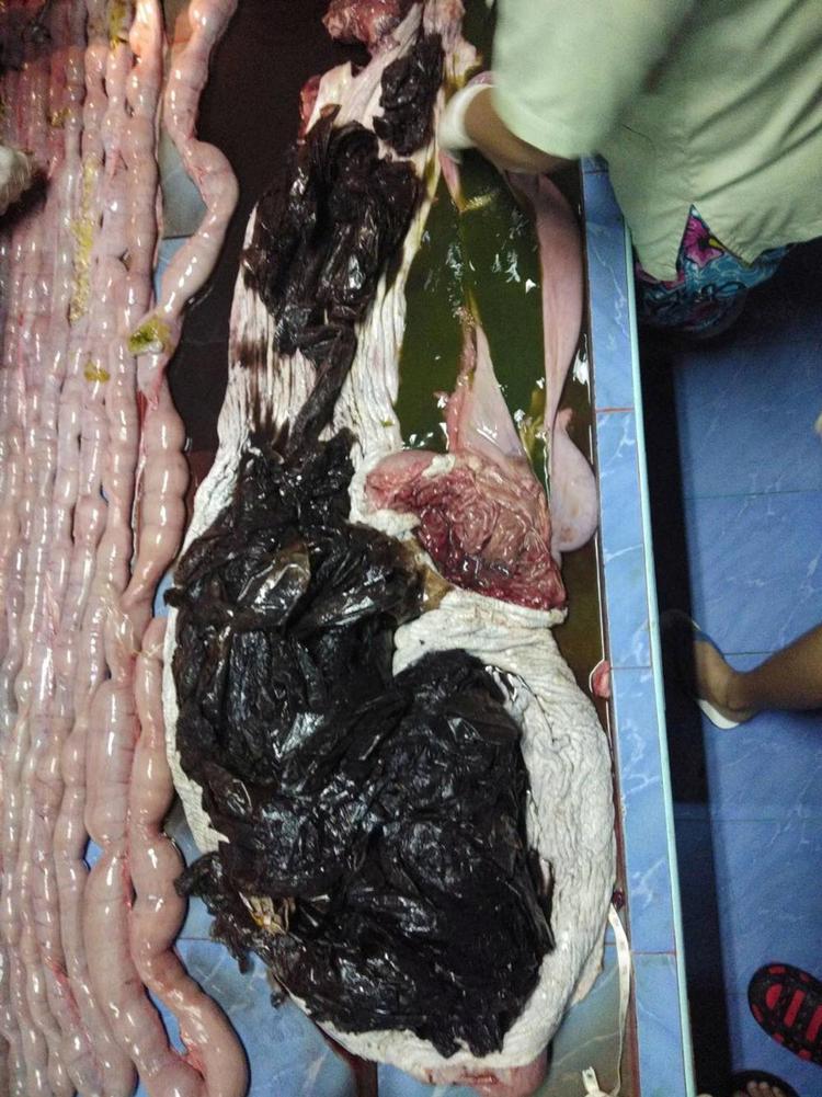 Social Media/Ritzau Scanpix