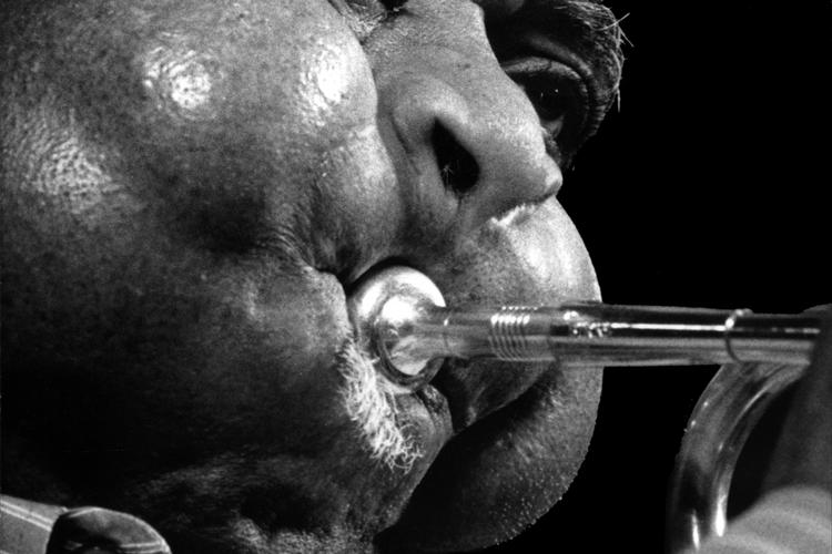 Jens Dresling/POLFOTO