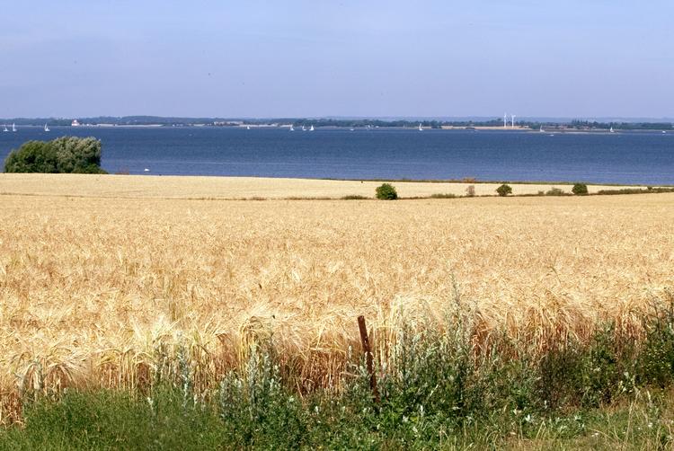 Mads Winther/POLFOTO