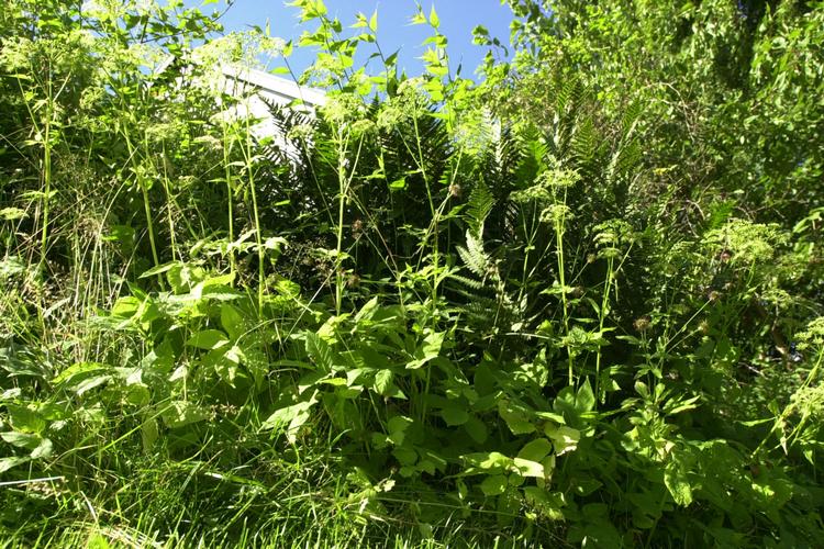 Kim Agersten/POLNATURE