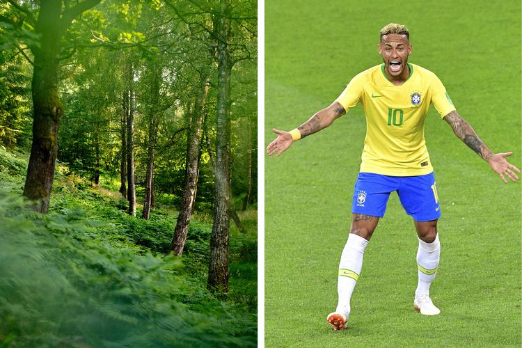 Magnus Holm/Mladen Antonov