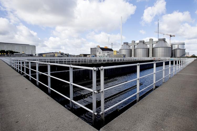 Hvis vi vil, kan vi om 20 år have omstillet hele Danmarks gasforbrug til biogas. (arkivfoto) Finn Frandsen/POLFOTO