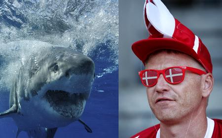 Kike Calvo/AP/Jens Dresling