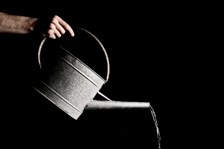 Joachim Adrian/POLFOTO