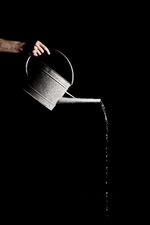 Nogle planter dør uden vand, men det koster, og flere steder i landet er der vandmangel, så målret strålen!
 Joachim Adrian/POLFOTO