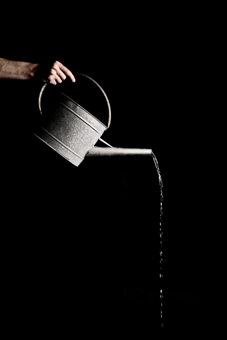 Nogle planter dør uden vand, men det koster, og flere steder i landet er der vandmangel, så målret strålen!
 Joachim Adrian/POLFOTO