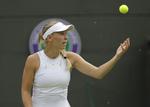 Insekterne på No 1 Court har generet både Caroline Wozniacki pg hends modstander. Ben Curtis/AP