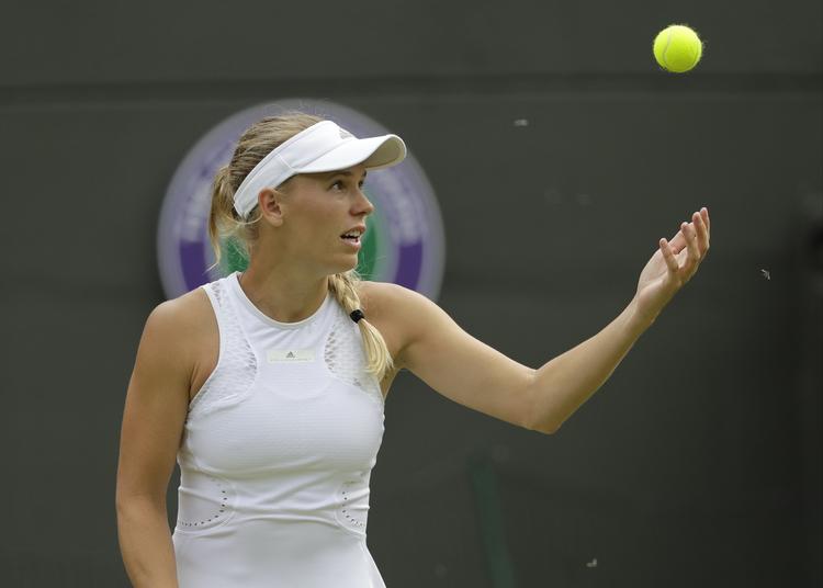Insekterne på No 1 Court har generet både Caroline Wozniacki pg hends modstander. Ben Curtis/AP