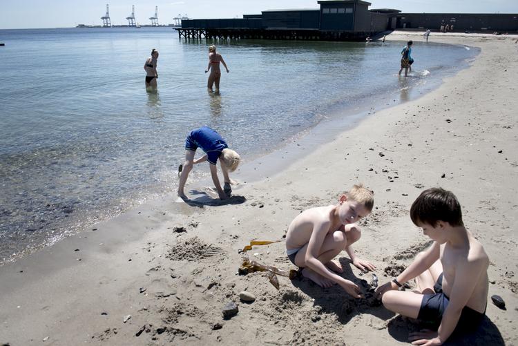 Efter en grå torsdag vender det tørre og solrige vejr tilbage fredag, lyder det fra DMI. Lund Tanja Carstens/POLFOTO
