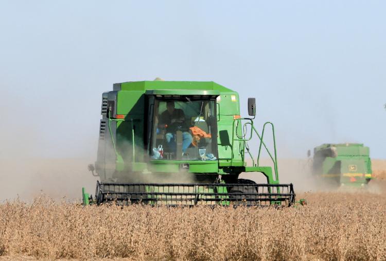 
    (AP Photo/Nati Harnik)
   Nati Harnik/AP