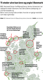 10Ulve-steder-i-Danmark-JH