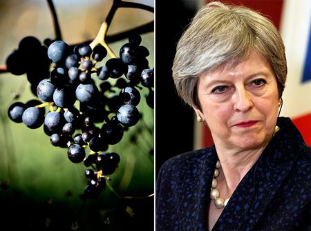 Arkivfoto Joachim Adrian/Boris Grdanoski/AP