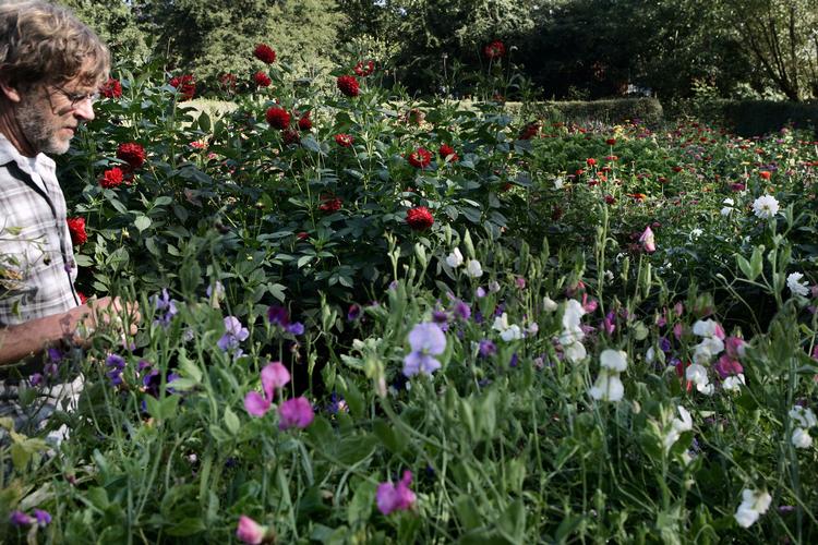 Rasmus Baaner/POLFOTO