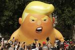
  Da Donald Trump første gang var i Storbritannien i 2017, blev han mødt af en seks meter høj 'karikatur-ballon'.
 
   Matt Dunham/AP
