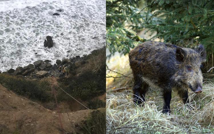 Ritzau Scanpix/Morten Langkilde