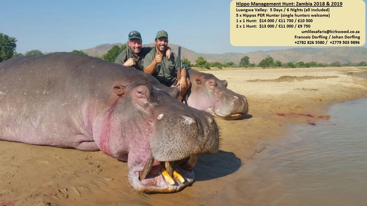 Umlilo Safaris