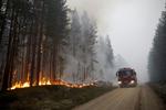 Billedet her er taget i søndags i Karbole ved  Ljusdal.  Mats Andersson/AP
