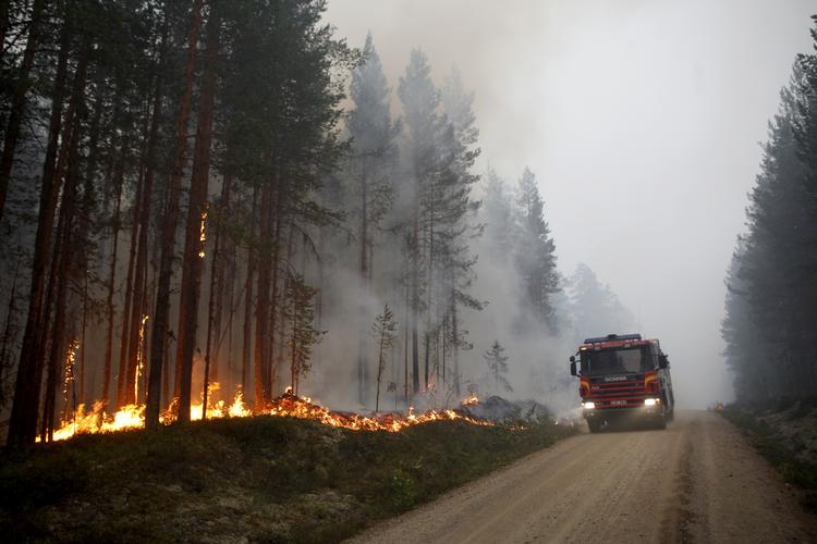 Billedet her er taget i søndags i Karbole ved  Ljusdal.  Mats Andersson/AP