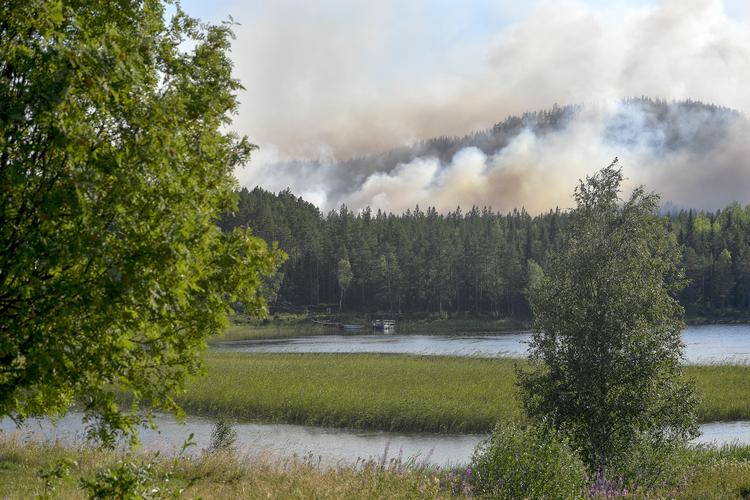 Skovbrand uden for  Ljusdal. 10300 Maja Suslin/tt/Ritzau Scanpix