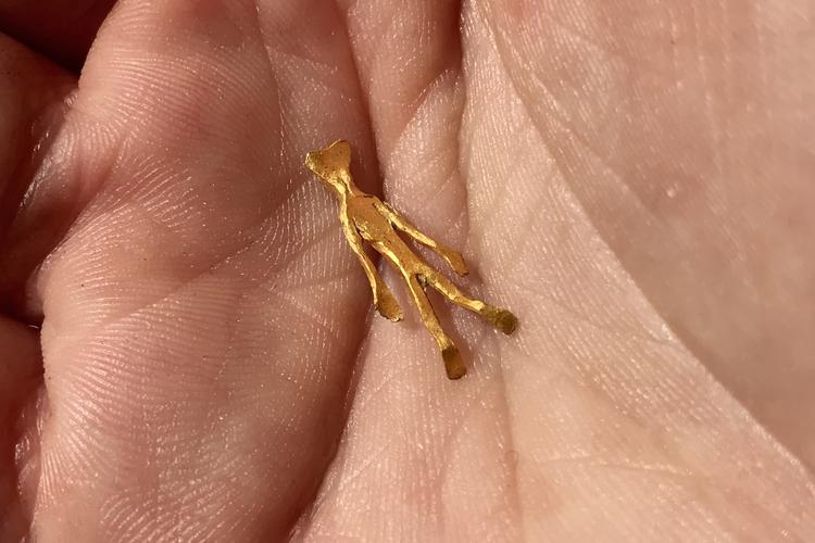 Siden 2015 er antallet af danefæ vokset eksplosivt. Både små og store genstande sendes ind til Nationalmuseet for at blive vurderet. Her en ganske lille figur i guld.  Jacob Ehrbahn/POLFOTO