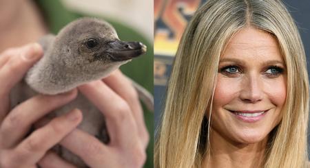 Zoological Society of London/AP