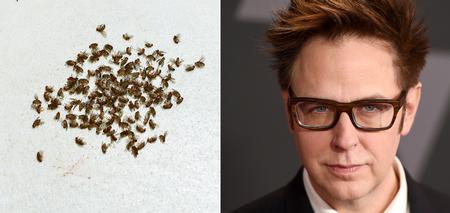 Arkivfoto Katinka Hustad/Jordan Strauss/AP